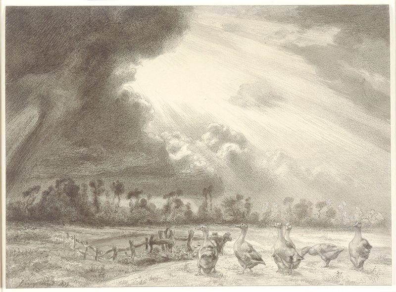 Geese and the Approaching Storm