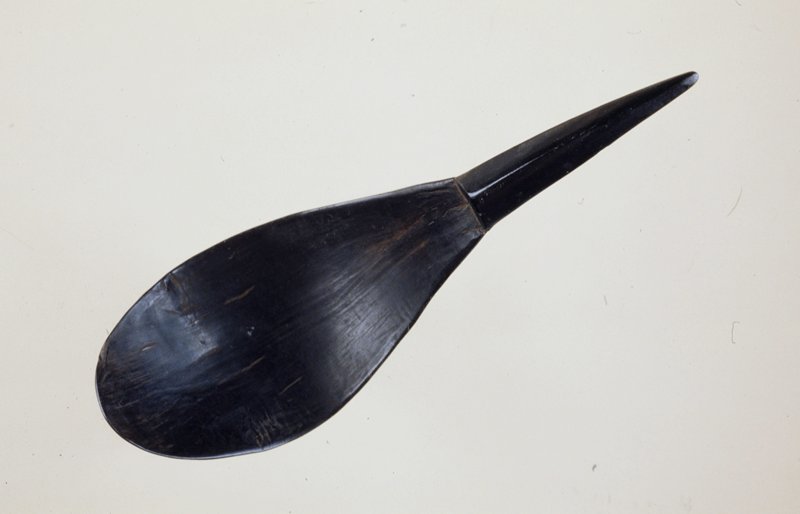 Spoon
