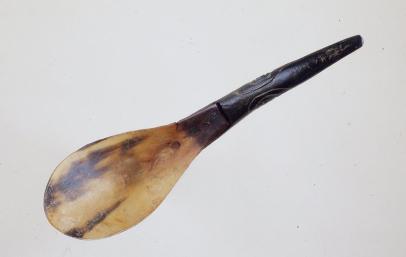 Spoon