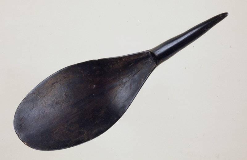 Spoon