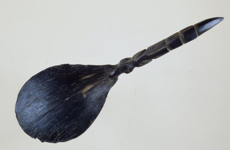 Spoon