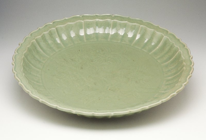 Dish