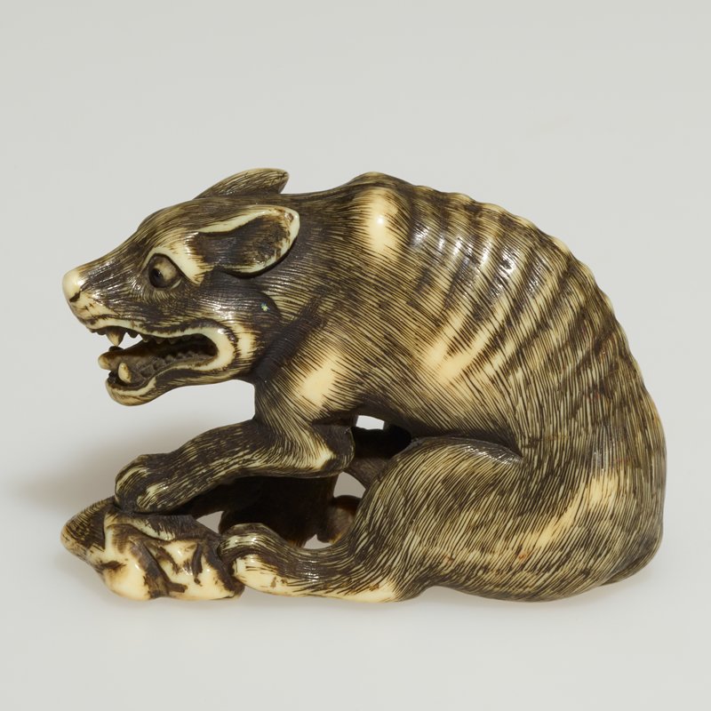 Wolf with deer leg