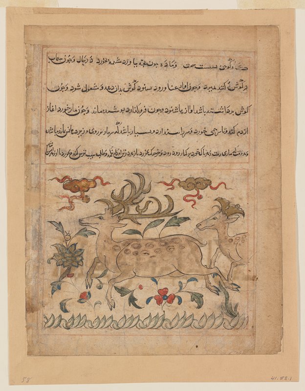 Page from the Manafi al-Hayavan