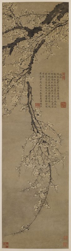 Plum Blossom