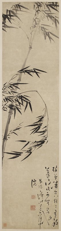 Bamboo