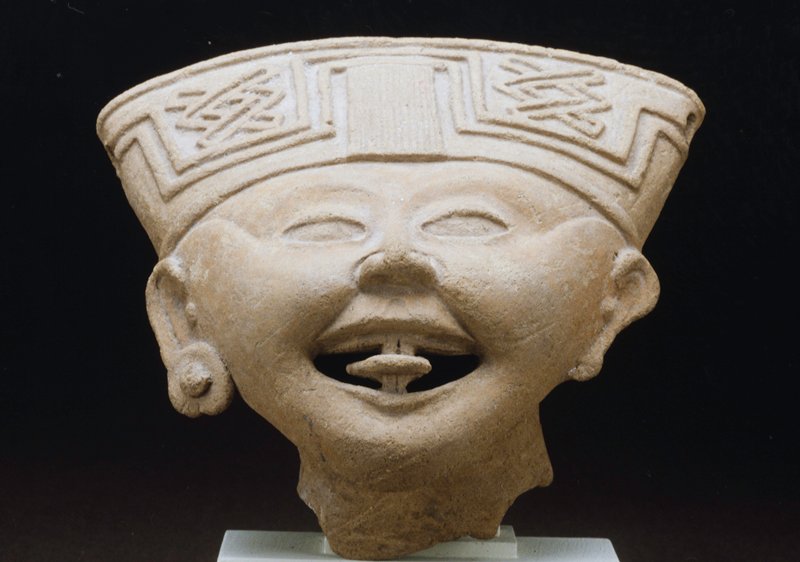 Head