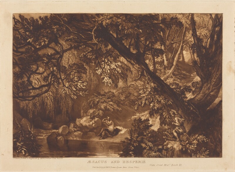 Aesacus and Hesperie