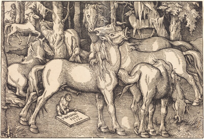 Group of Seven Horses