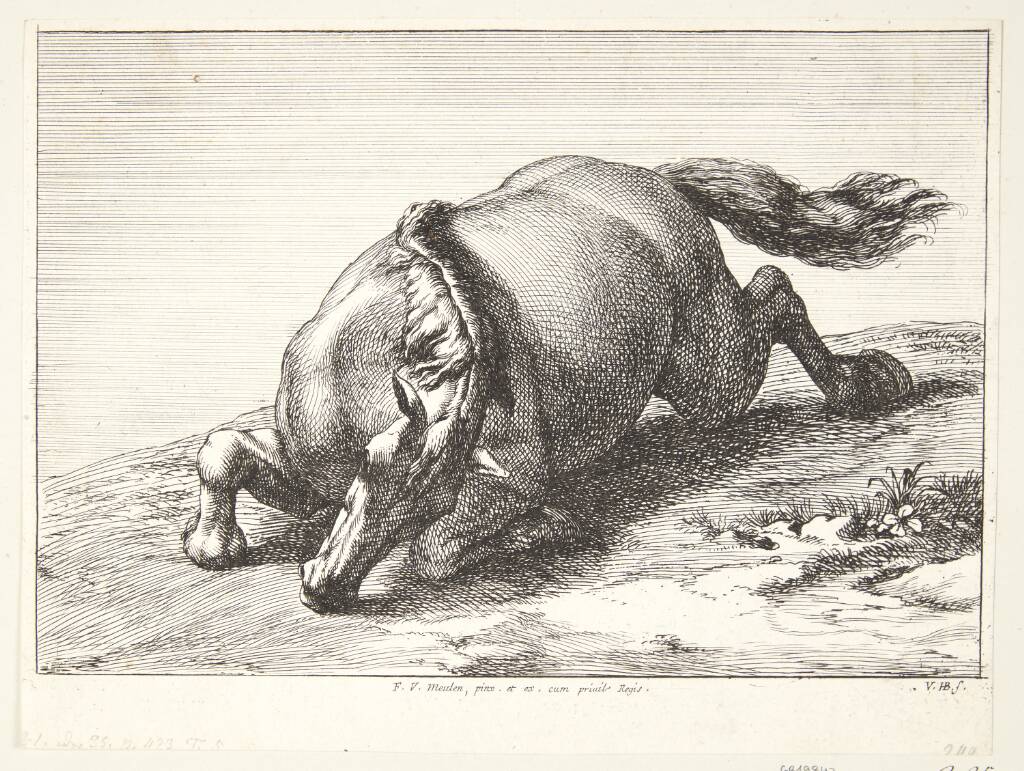 Falden hest