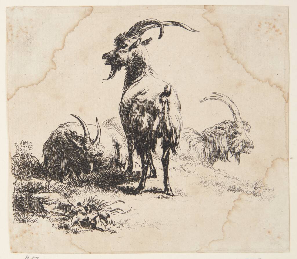Tre geder