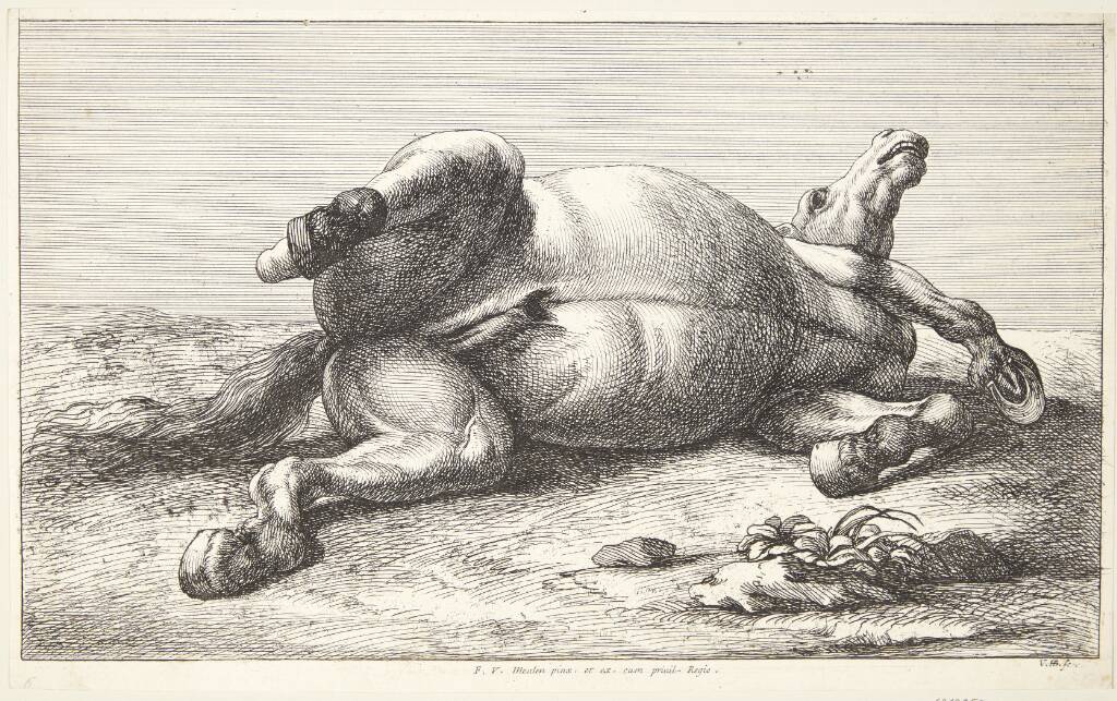 Falden hest
