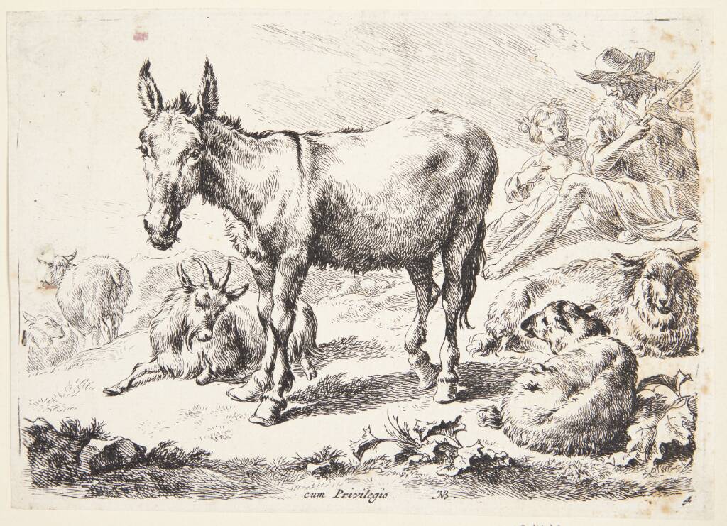 Æsel og geder