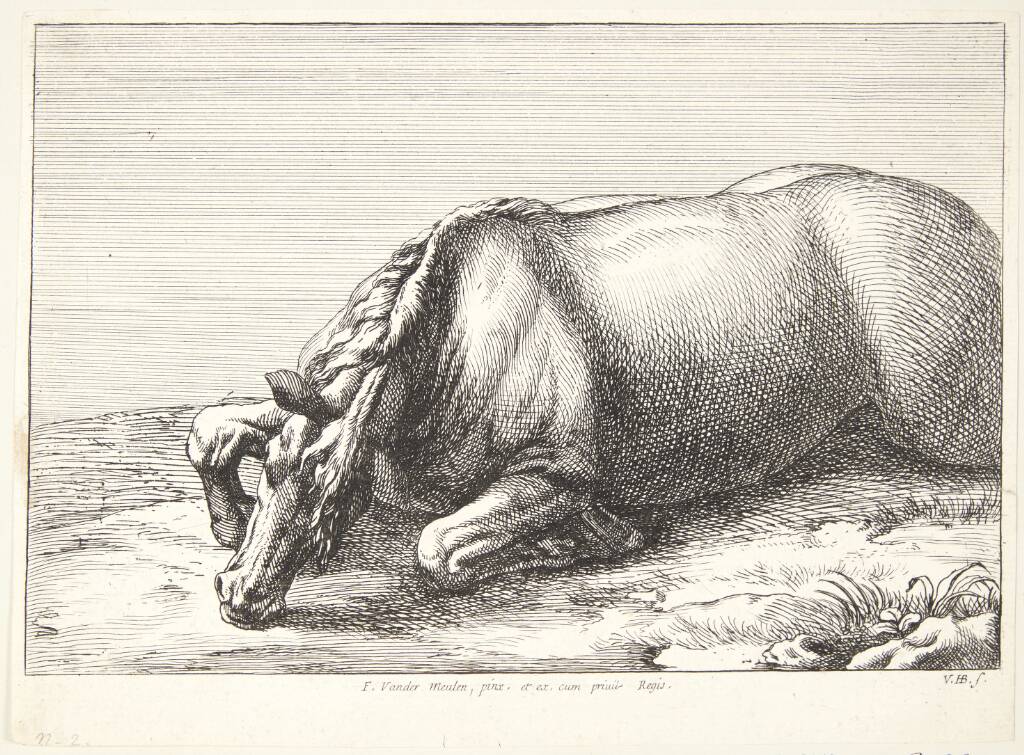Falden hest
