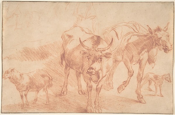 Animal Studies