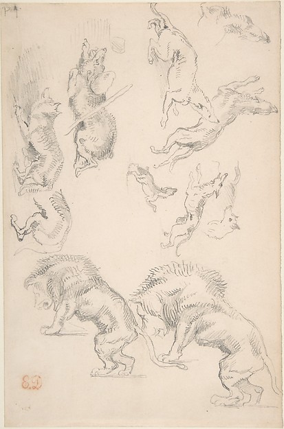 Studies of Animals