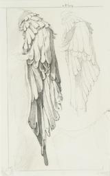 Studies of a Sleeve