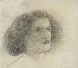 Head of a Man