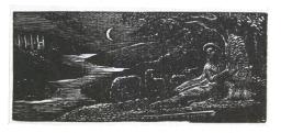 Colinet Rests by a Stream at Night
