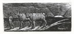 ‘And Unyok’d Heifers, Loitering Homeward, Low’