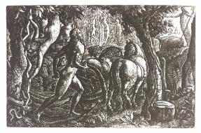 The Ploughman