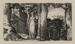 The Lady and the Rooks