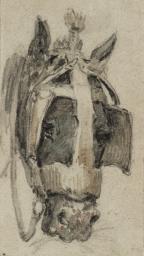 Horse’s Head