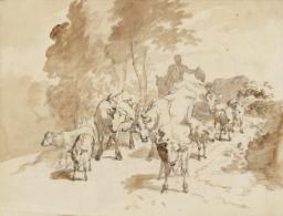 Sheep on the Road