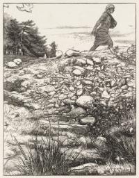 The Sower