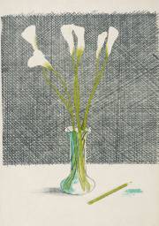 Lillies