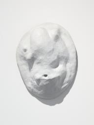 Amoeba
