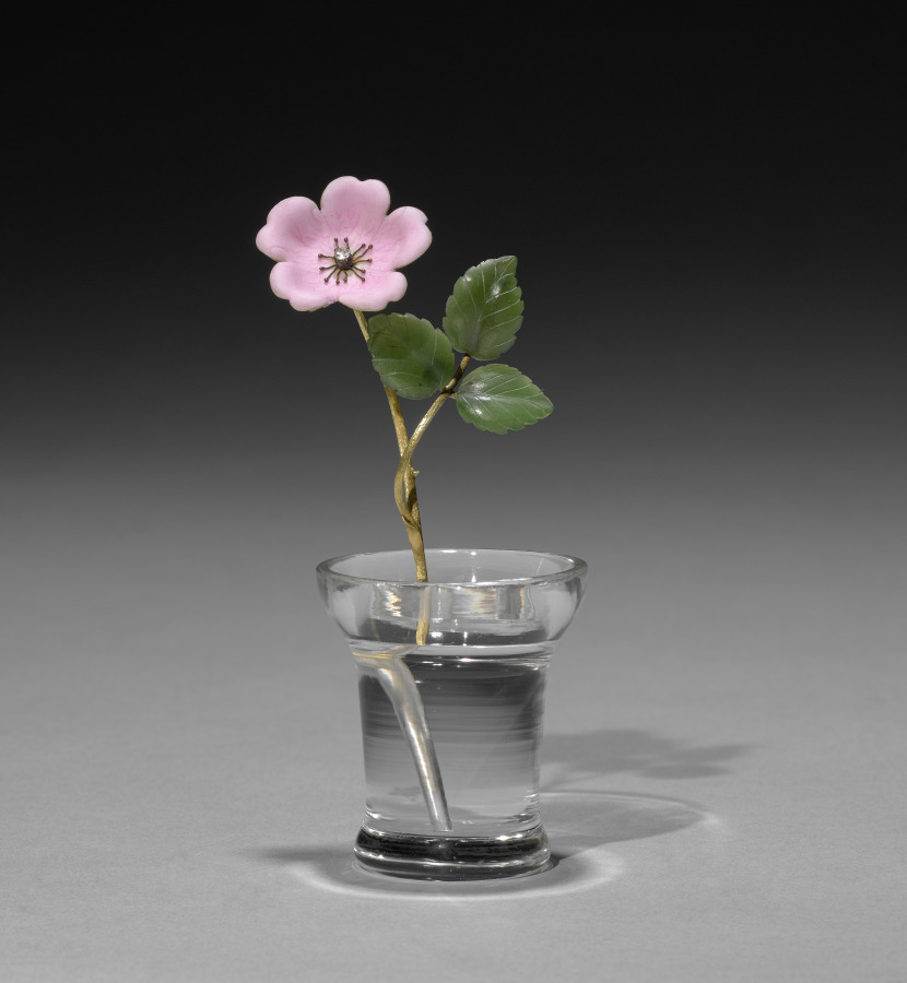 Flower Study of a Wild Rose