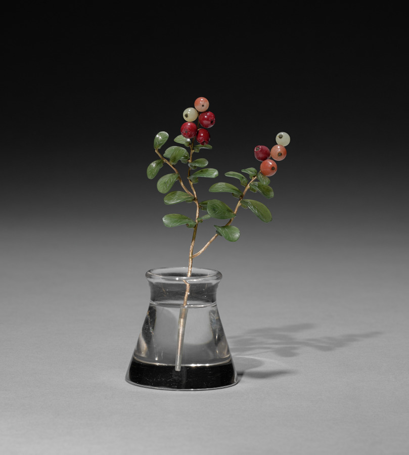 Flower Study of a Lowbush Cranberry or Lingonberry
