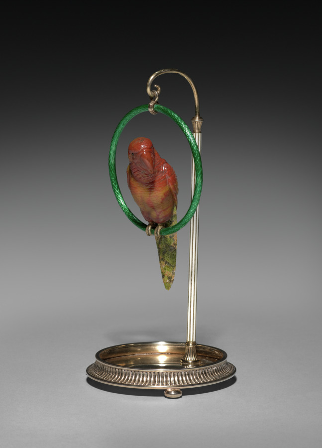 Parrot on a Perch 