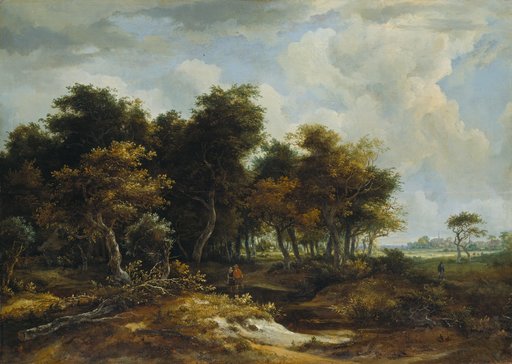 Eingang zum Wald