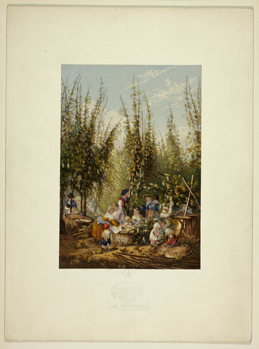 The Hop Garden
