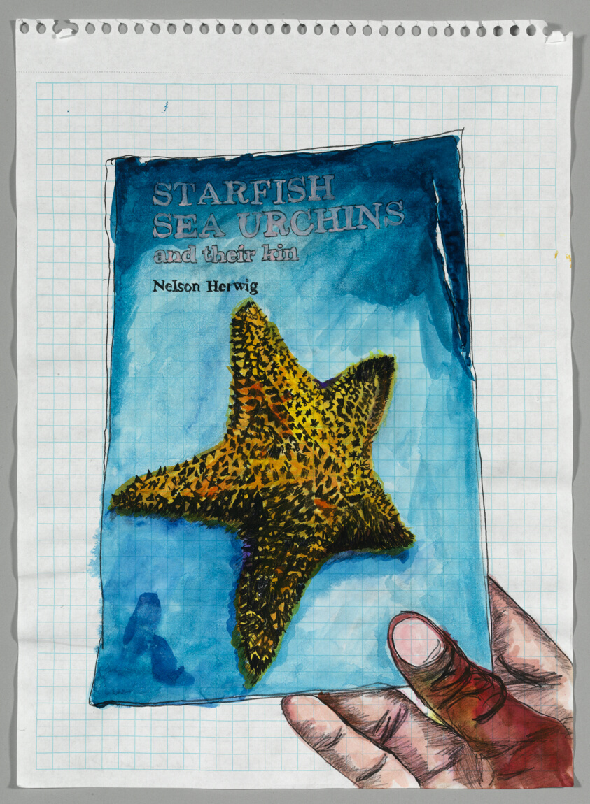 Starfish, Sea Urchin, and their Kin, from Human_3.0 Reading List
