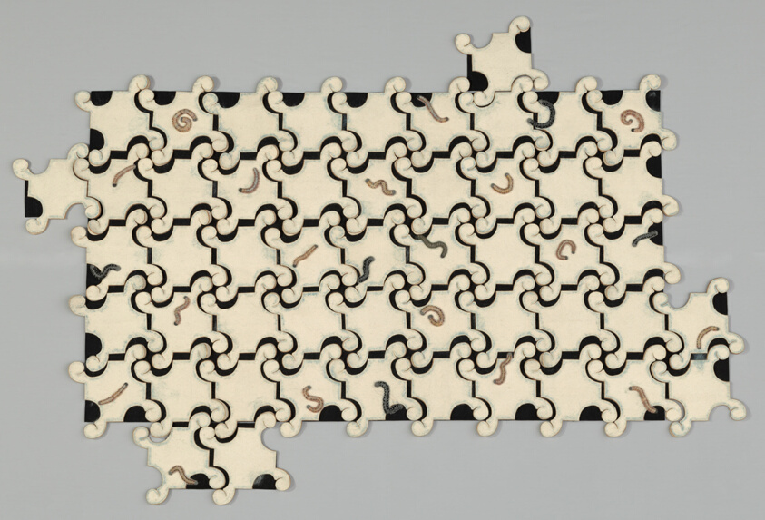 Gusanos (Worms)