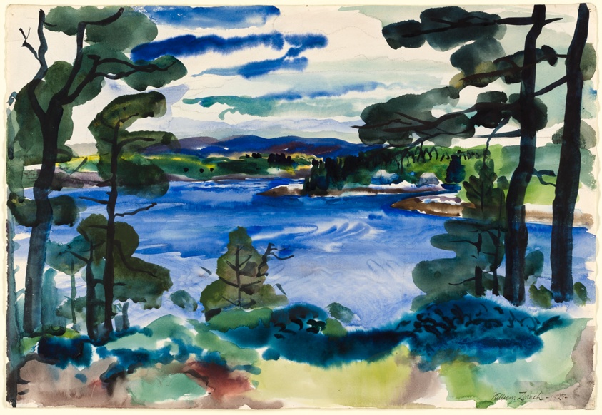 Maine Landscape