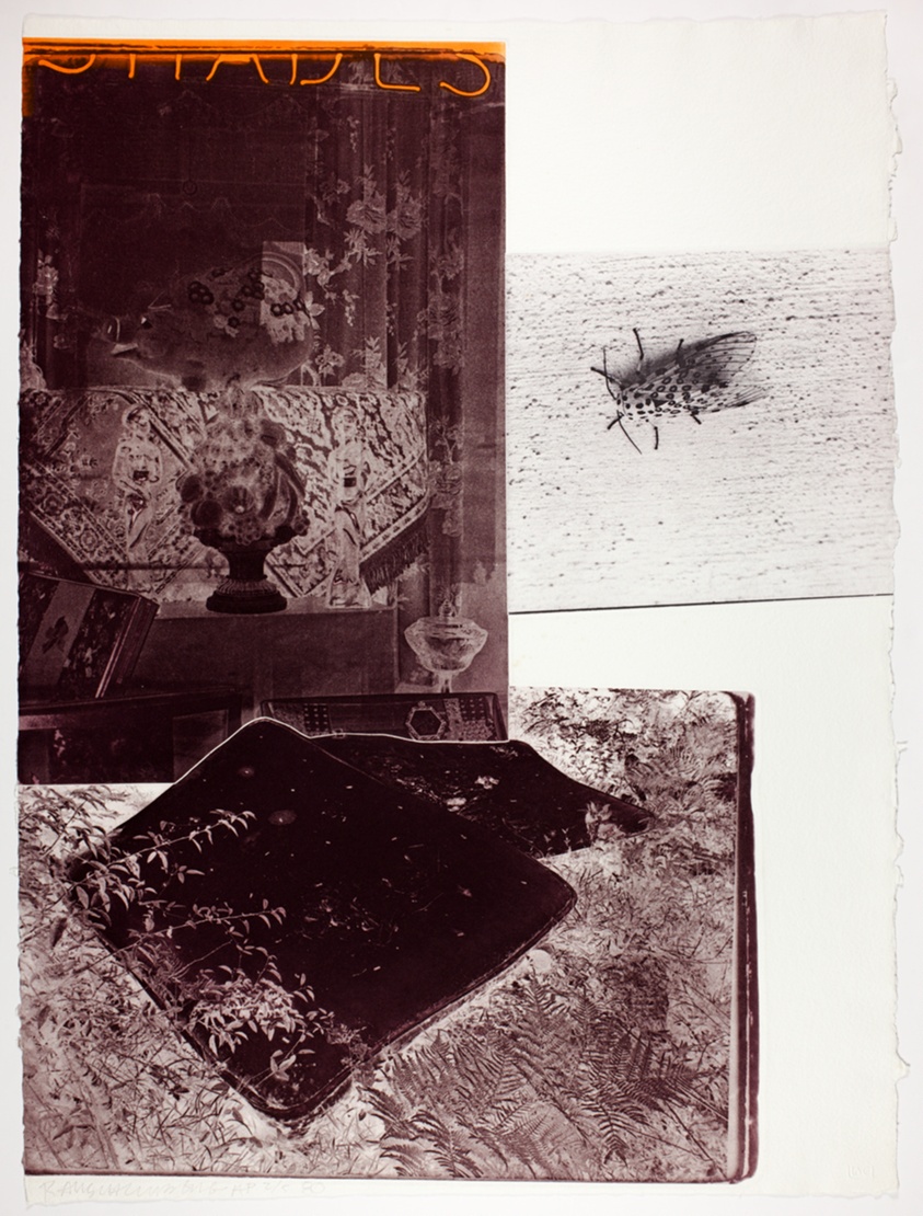 The Razorback Bunch (Etching I)