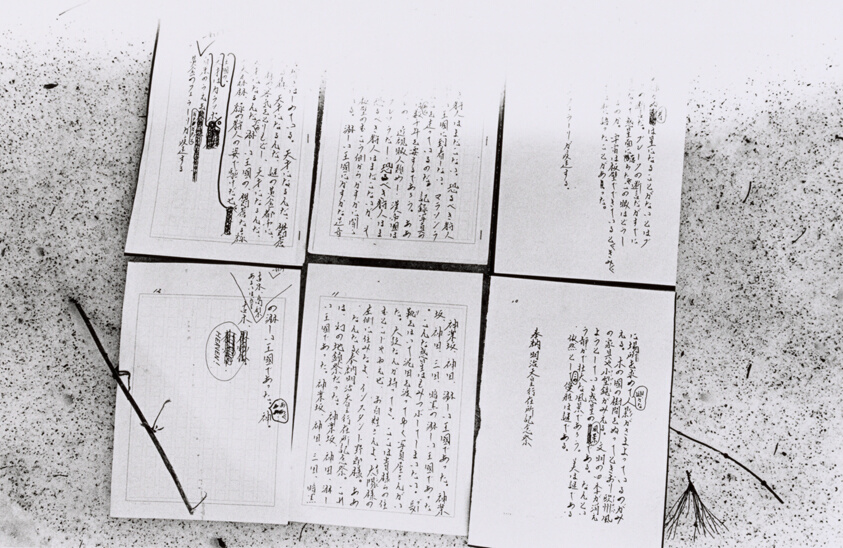Untitled (Toshi-e)