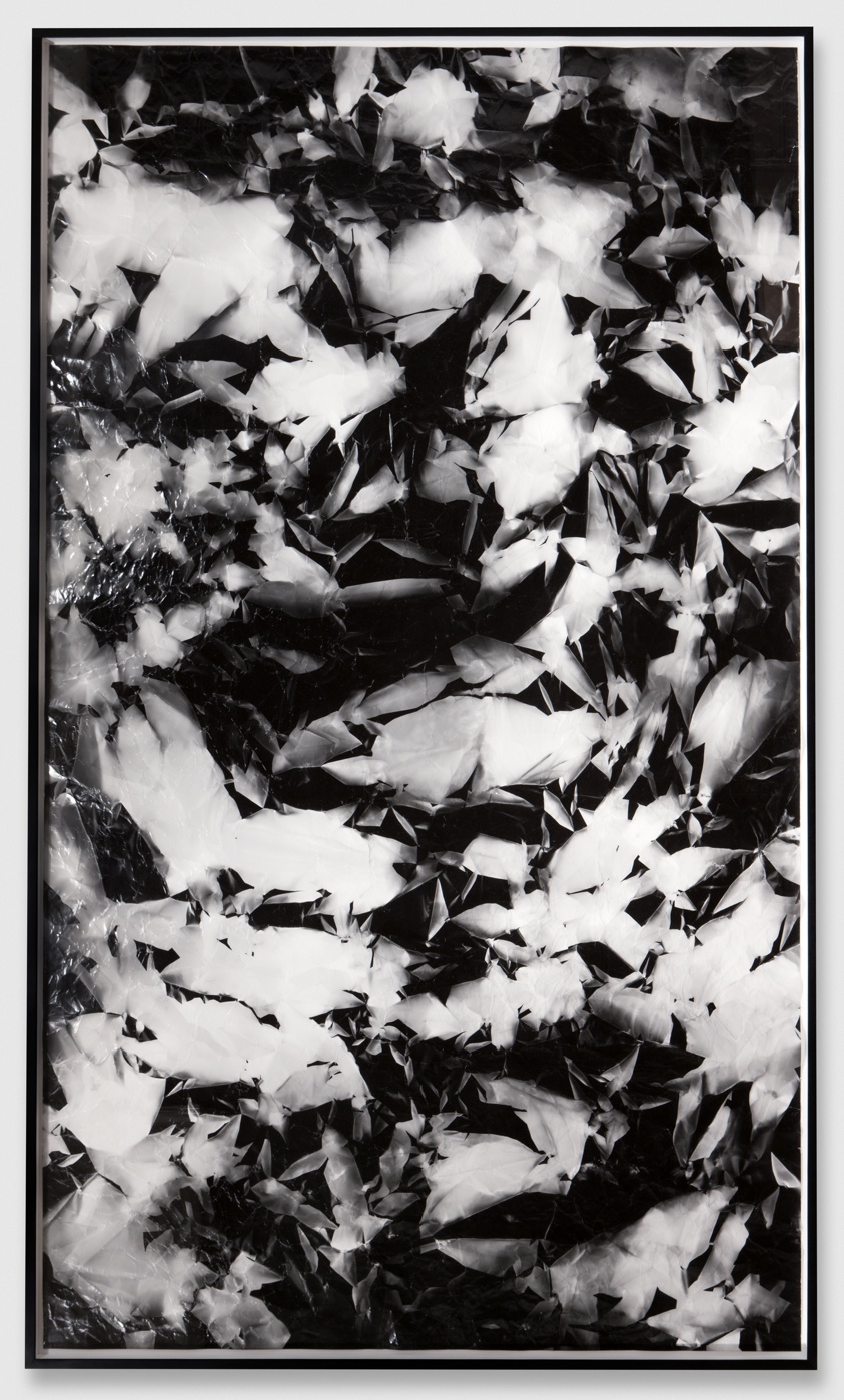 Picture Made by My Hand with the Assistance of Light
