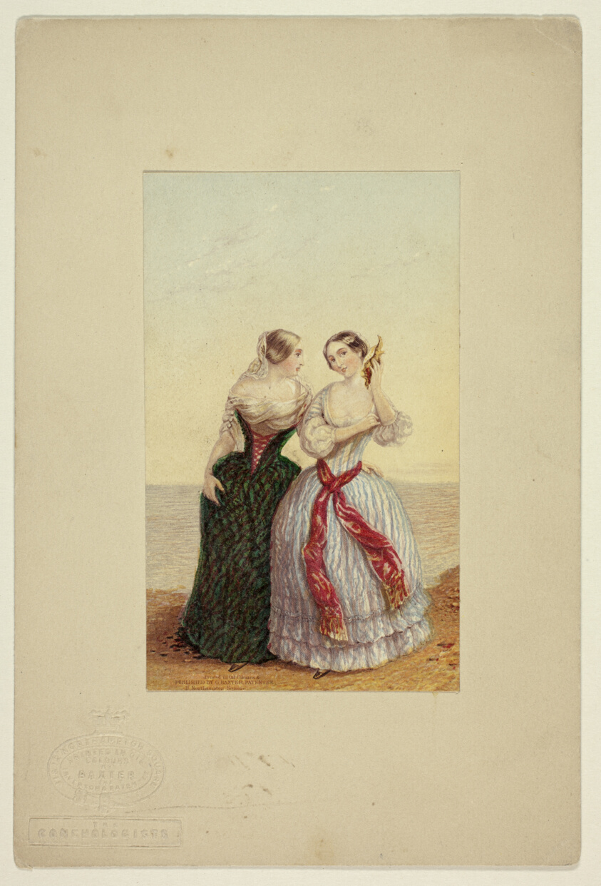 The Conchologists, also called The Large Conchologists