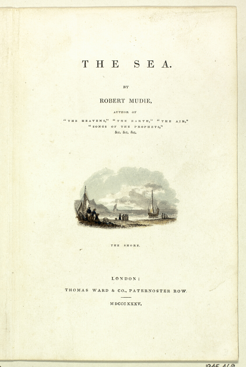 The Shore