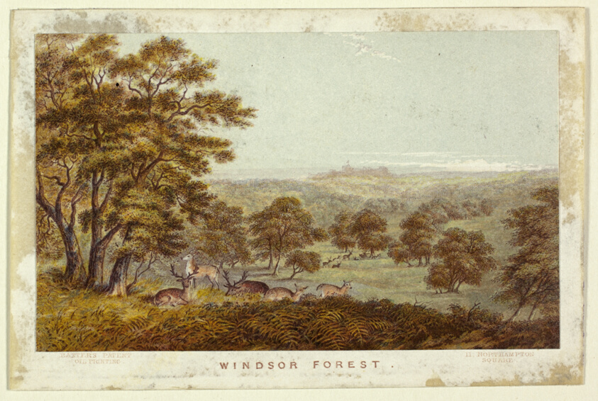 Windsor Forest (Pocket Book version)